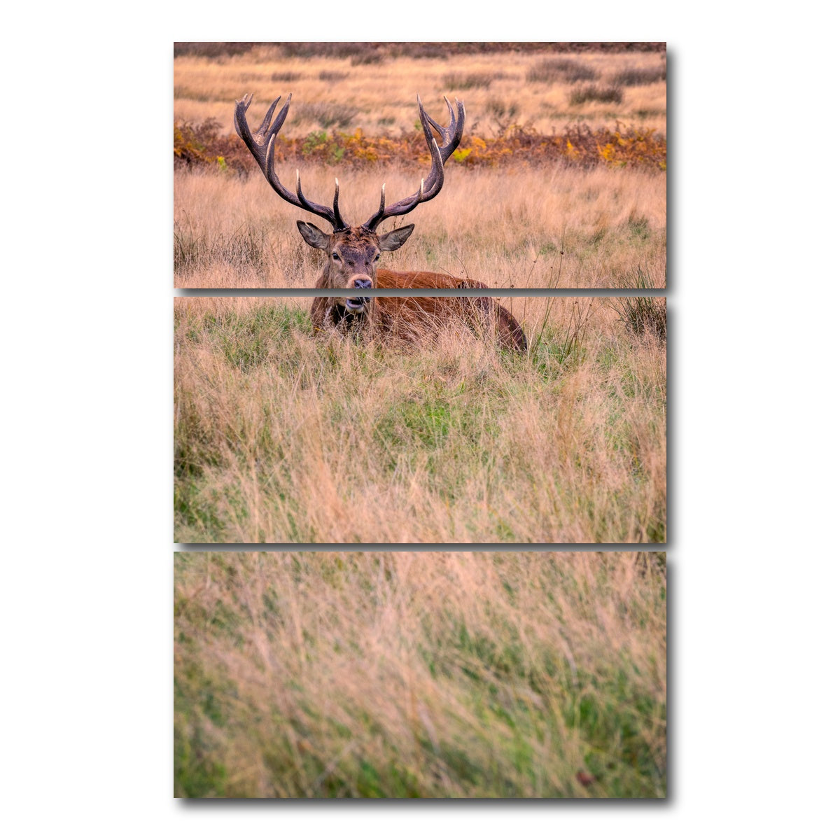 AUTO-MOCKUP WHITE | Richmond Park | 3 Piece | Gallery Wrap Canvas | group=12x24_stacked