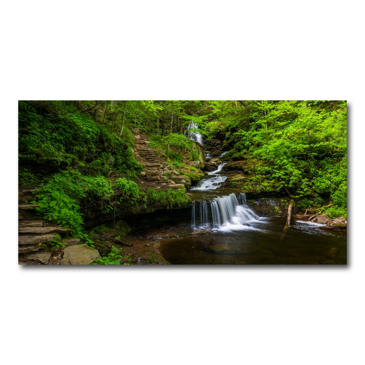 AUTO-MOCKUP WHITE | Ricketts Glen State Park | 1 Piece | Gallery Wrap Canvas | group=2x1