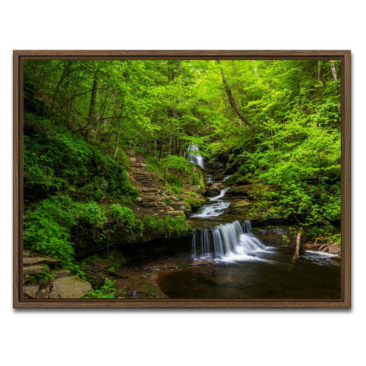 AUTO-MOCKUP WHITE | Ricketts Glen State Park | 1 Piece | Walnut Framed Canvas | group=4x3