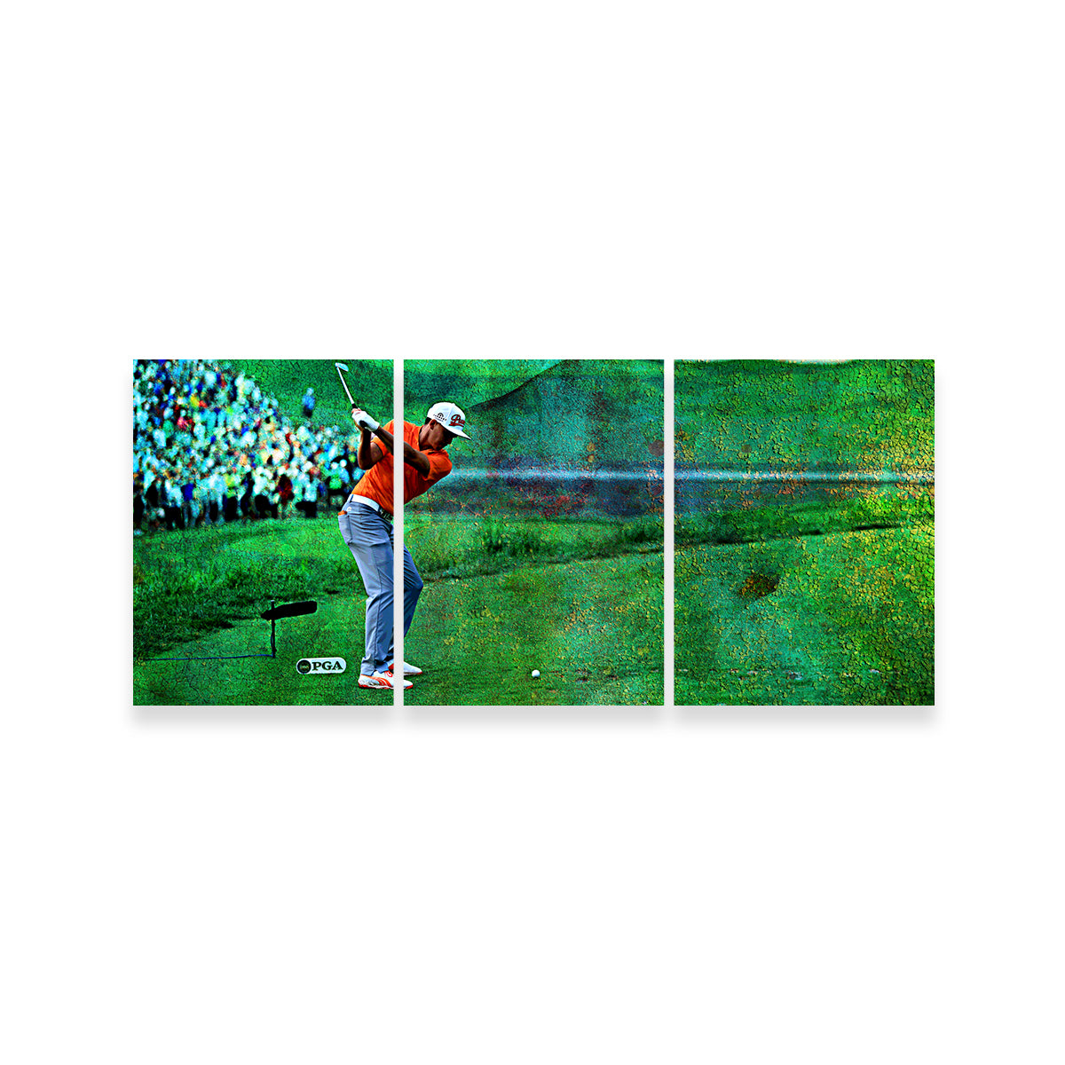 Rickie Fowler Wall Art