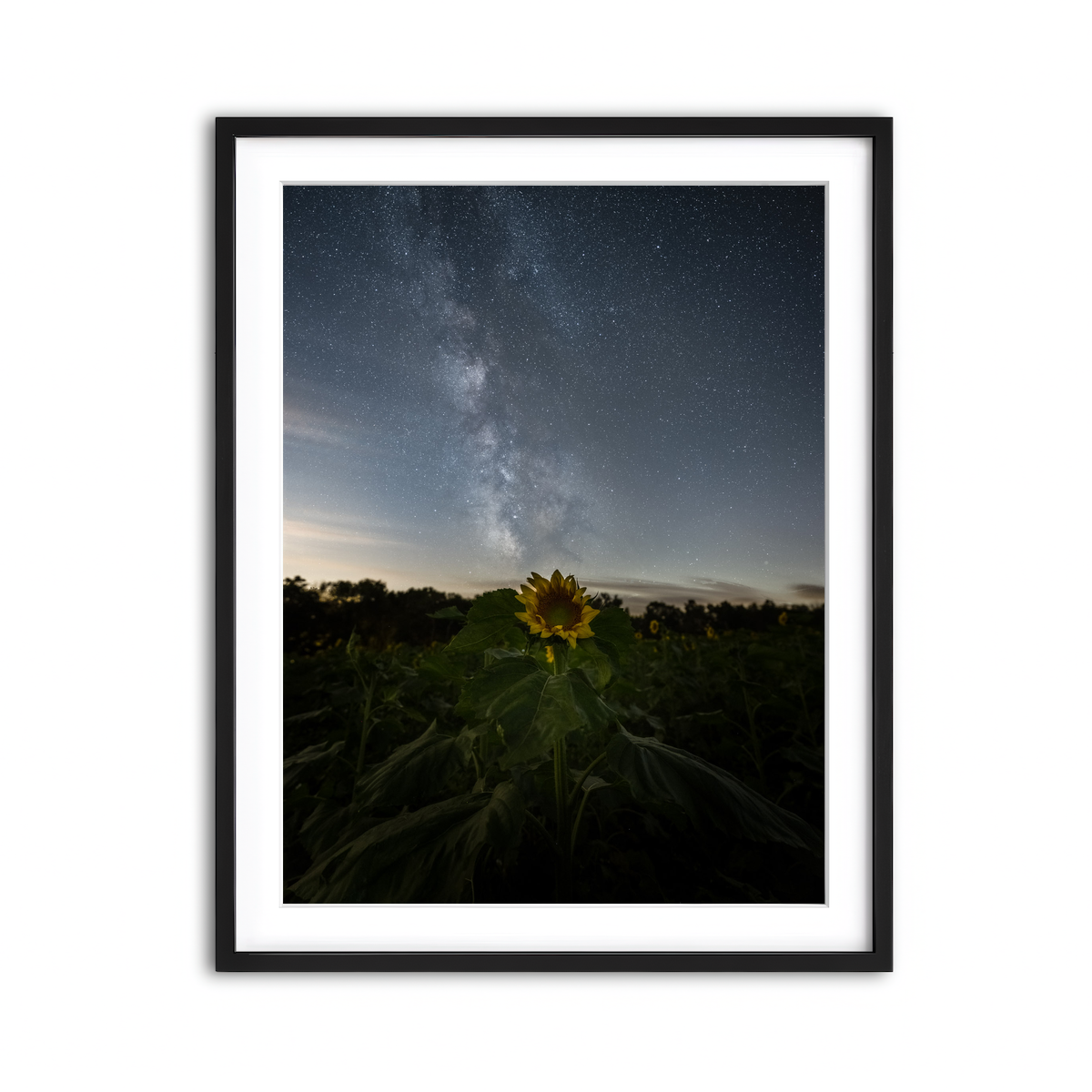 Framed Print 3x4 Black