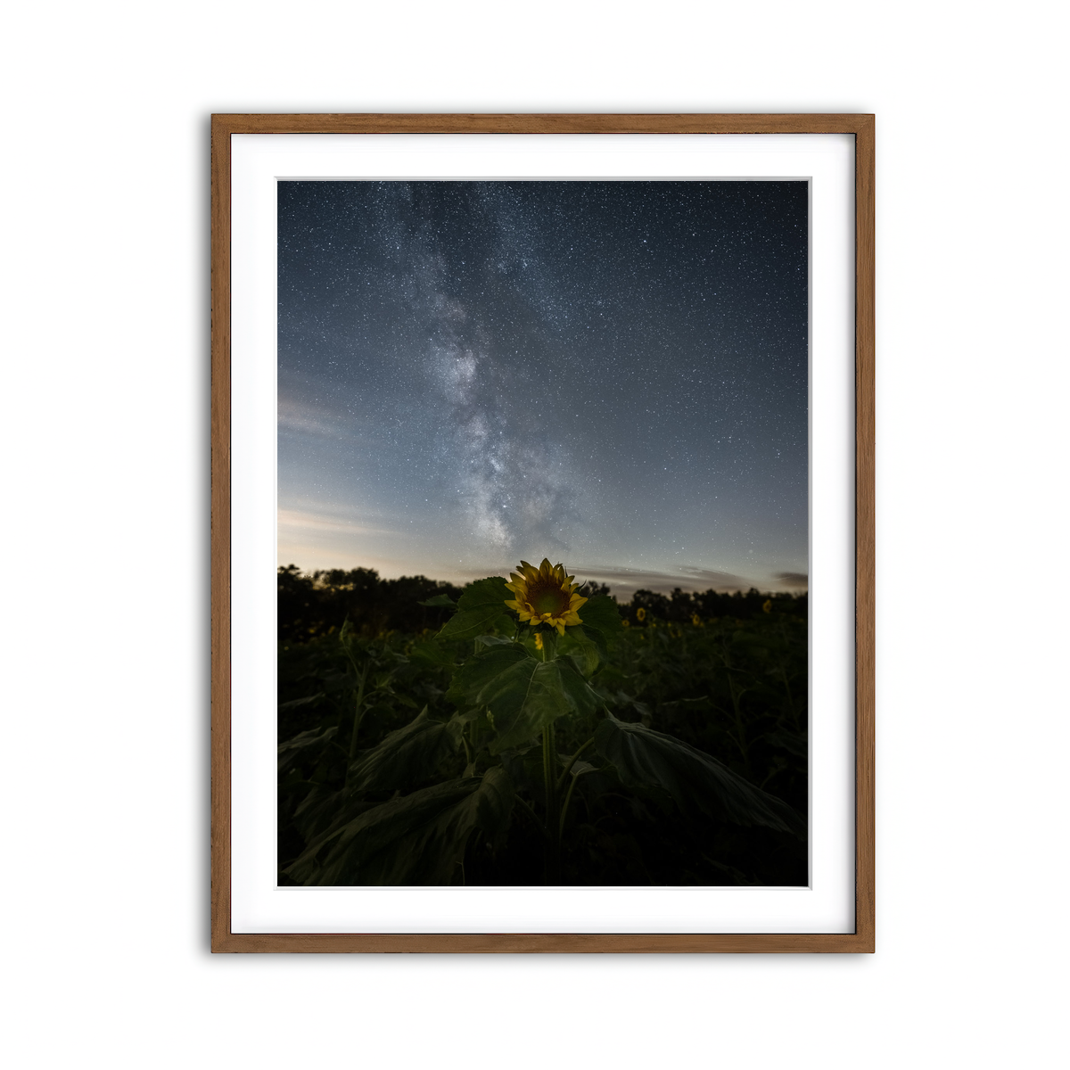 Framed Print 3x4 Walnut