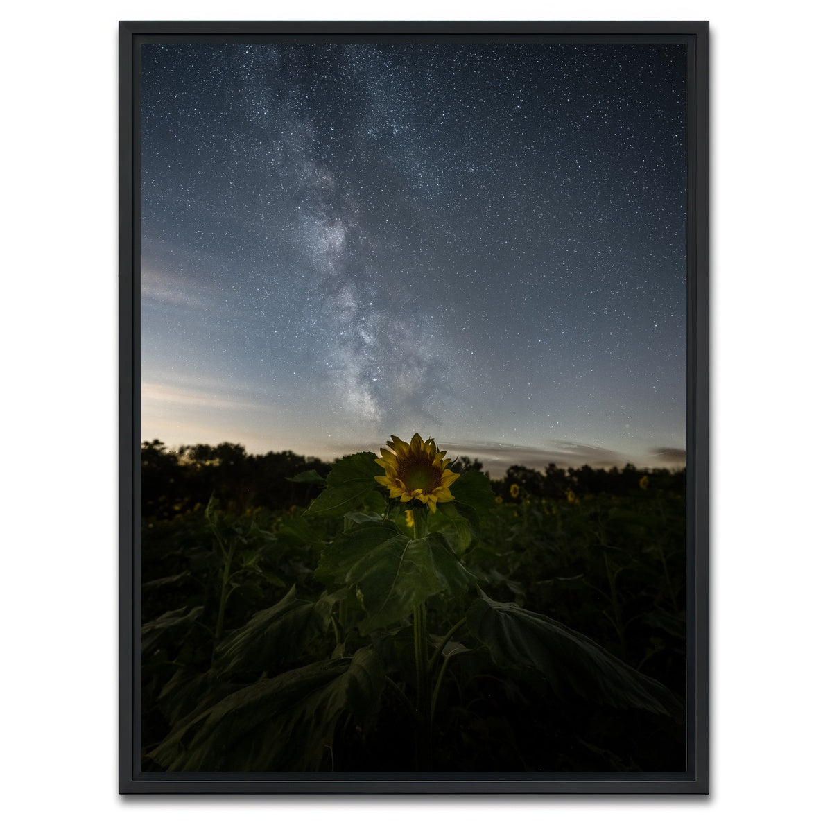 AUTO-MOCKUP WHITE | Rise and Face the Night | 1 Piece | Black Framed Canvas | group=3x4