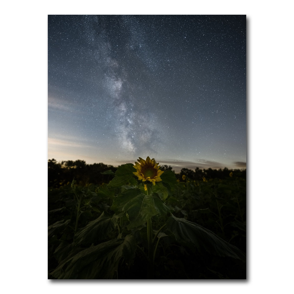 AUTO-MOCKUP WHITE | Rise and Face the Night | 1 Piece | Gallery Wrap Canvas | group=3x4