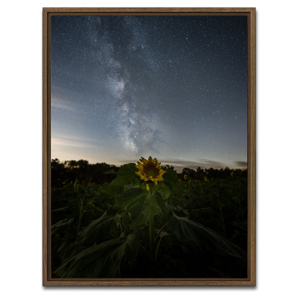 AUTO-MOCKUP WHITE | Rise and Face the Night | 1 Piece | Walnut Framed Canvas | group=3x4
