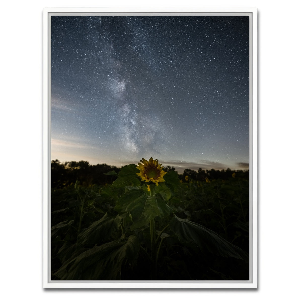 AUTO-MOCKUP WHITE | Rise and Face the Night | 1 Piece | White Framed Canvas | group=3x4