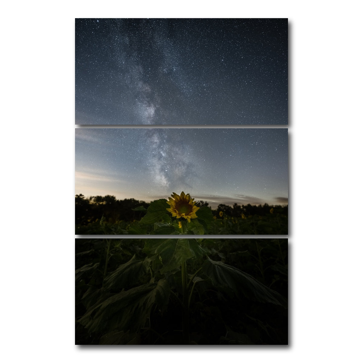 AUTO-MOCKUP WHITE | Rise and Face the Night | 3 Piece | Gallery Wrap Canvas | group=12x24_stacked