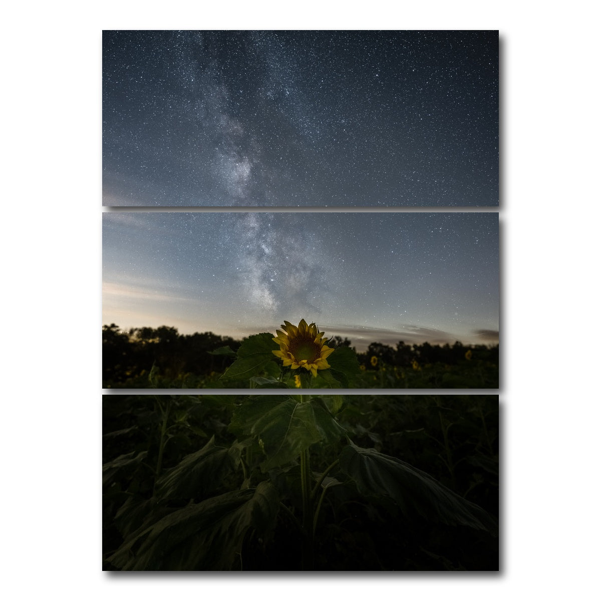 AUTO-MOCKUP WHITE | Rise and Face the Night | 3 Piece | Gallery Wrap Canvas | group=8x18_stacked