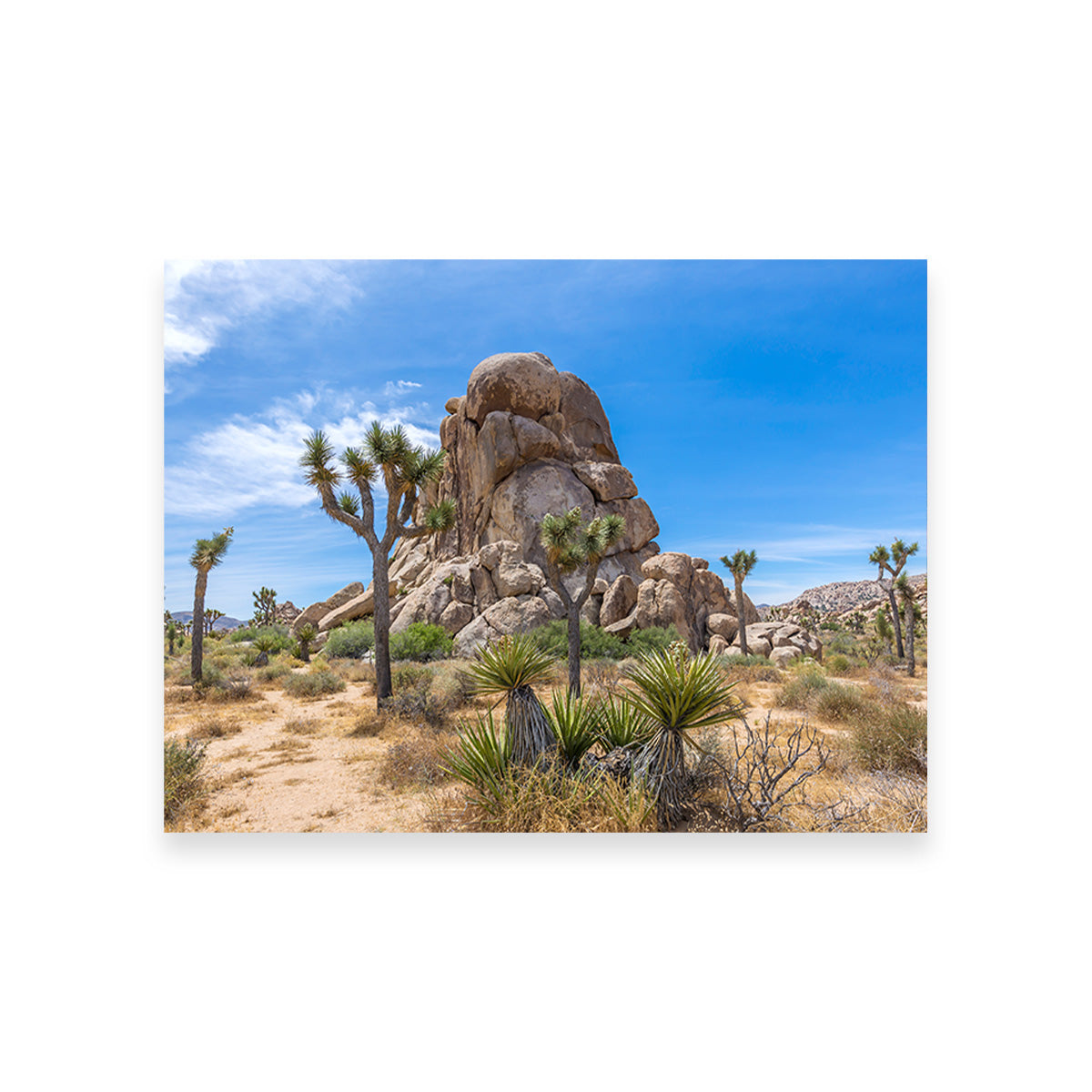 Roadside Rock Joshua Tree National Park Wall Art