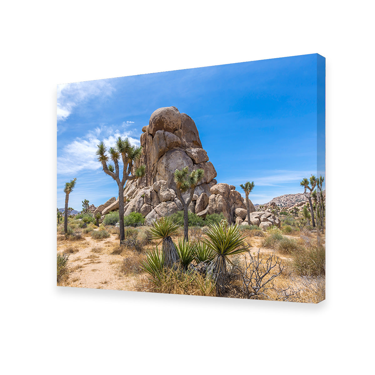 Roadside Rock Joshua Tree National Park Wall Art