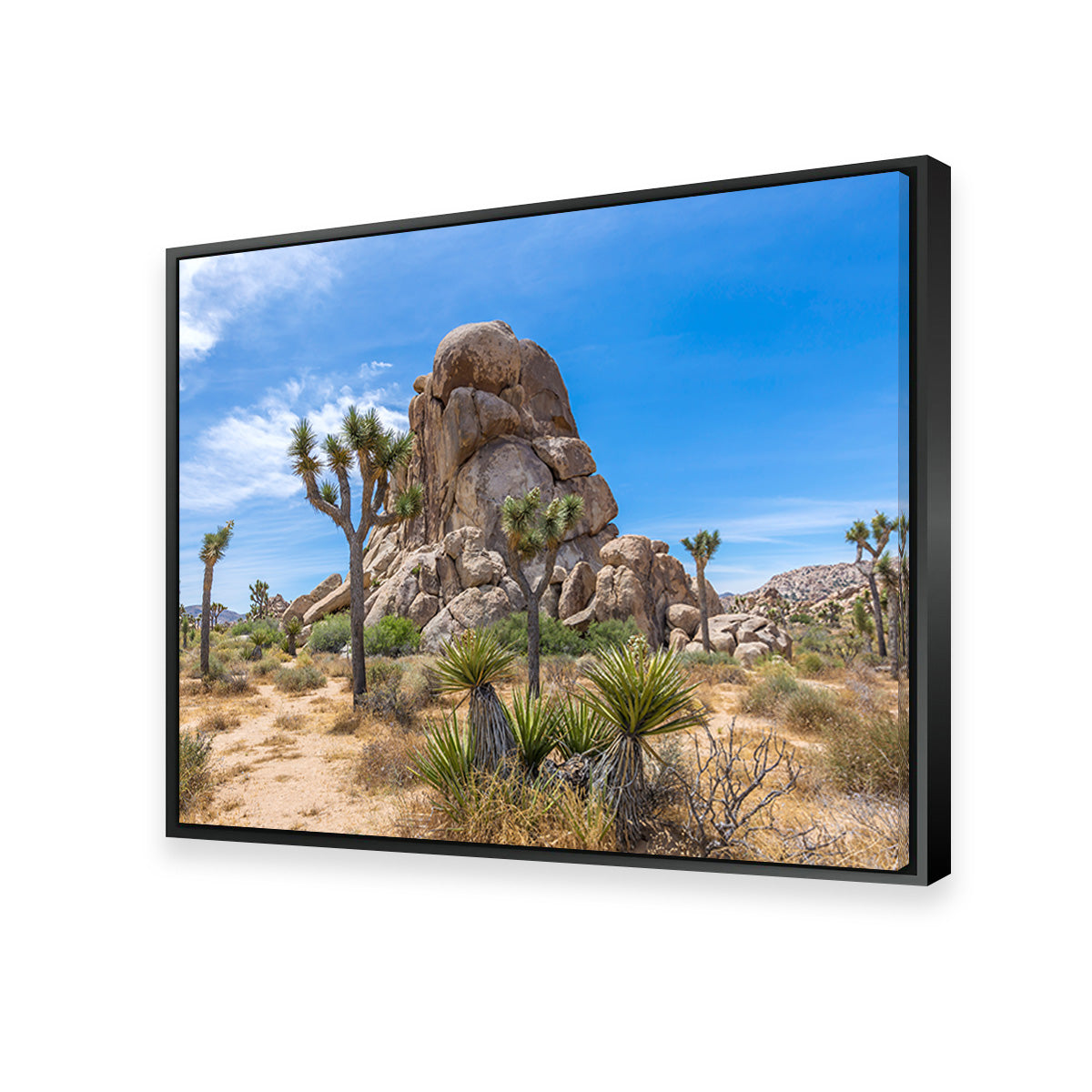 Roadside Rock Joshua Tree National Park Wall Art