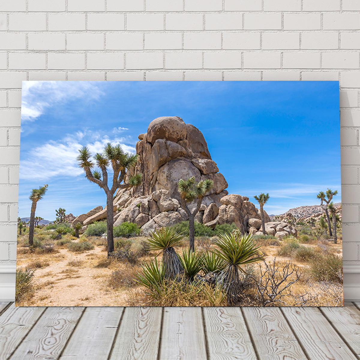 Roadside Rock Joshua Tree National Park Wall Art