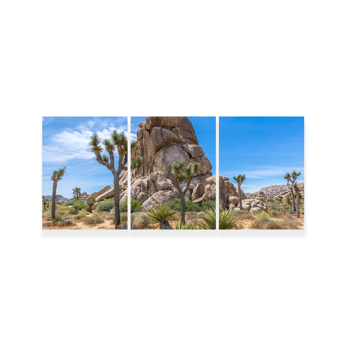 Roadside Rock Joshua Tree National Park Wall Art