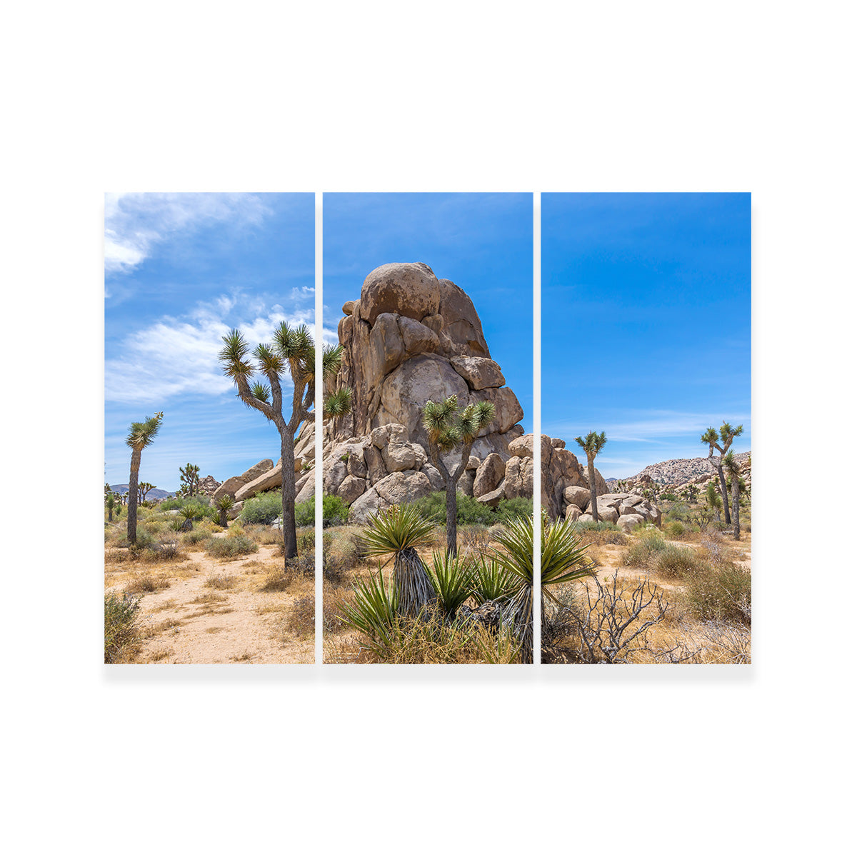 Roadside Rock Joshua Tree National Park Wall Art