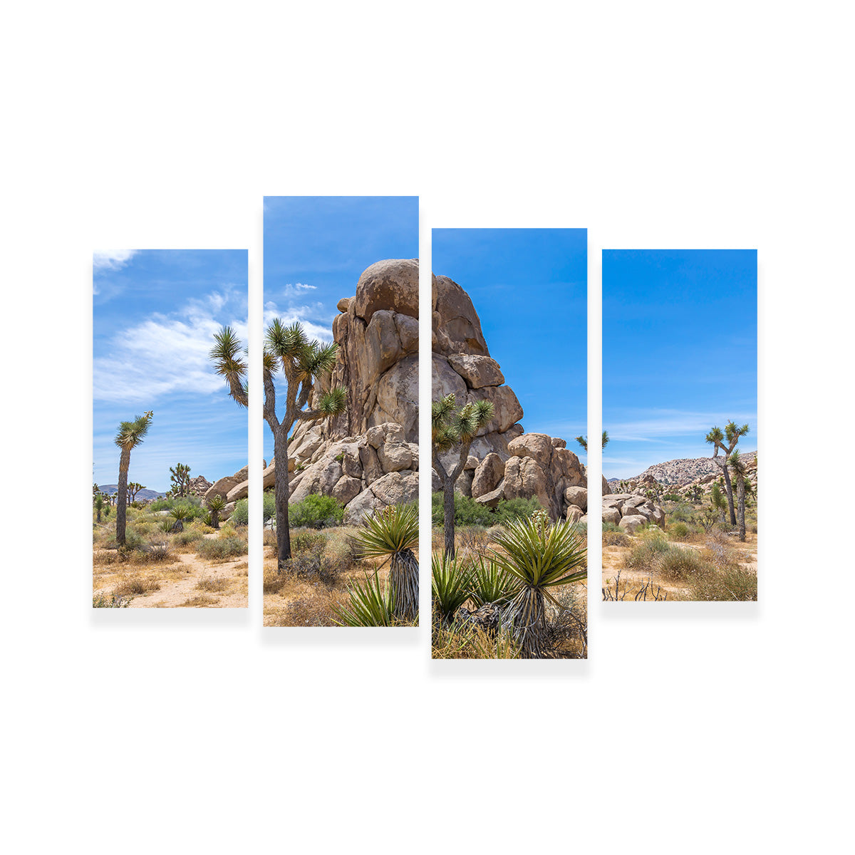 Roadside Rock Joshua Tree National Park Wall Art