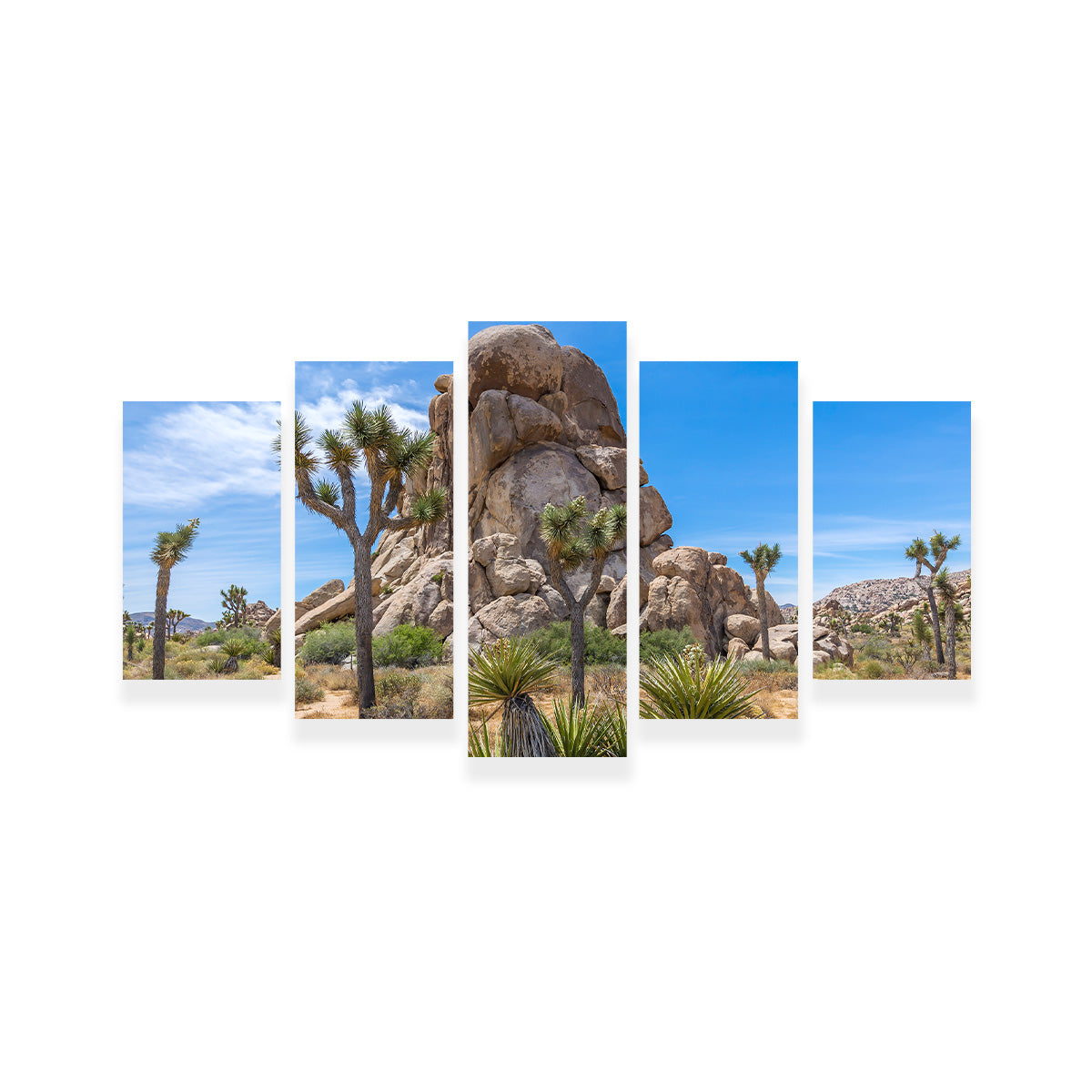 Roadside Rock Joshua Tree National Park Wall Art