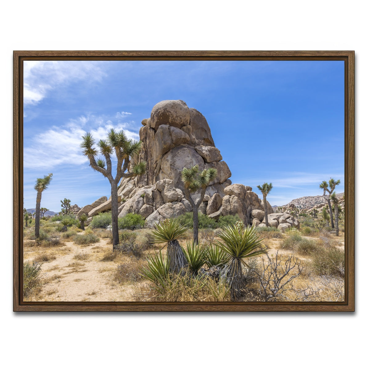 AUTO-MOCKUP WHITE | Roadside Rock Joshua Tree National Park | 1 Piece | Walnut Framed Canvas | group=4x3