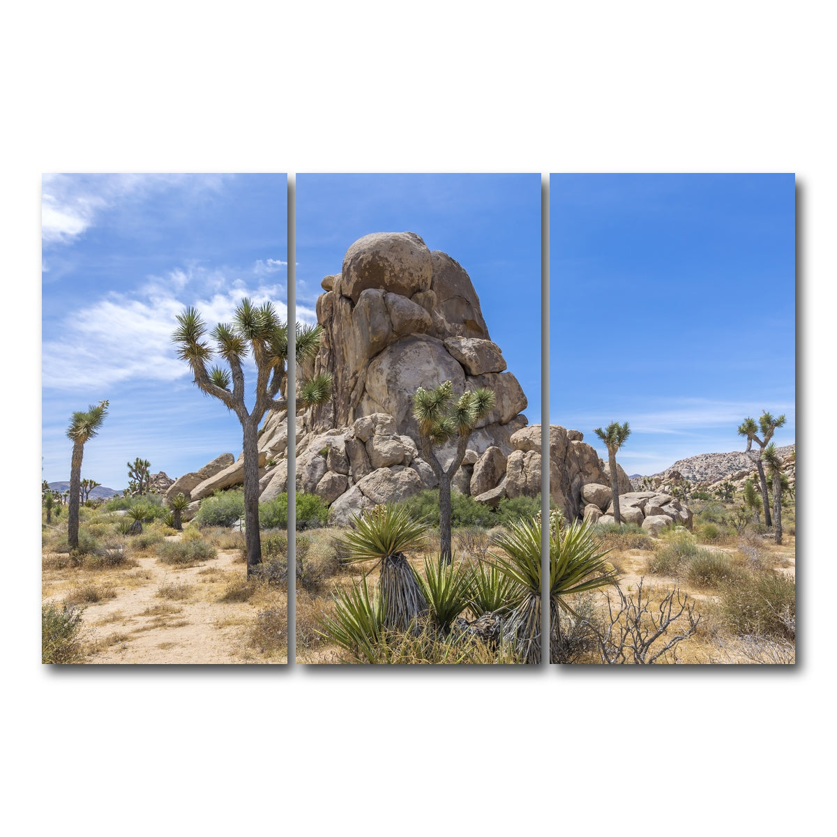 AUTO-MOCKUP WHITE | Roadside Rock Joshua Tree National Park | 3 Piece | Gallery Wrap Canvas | group=12x24