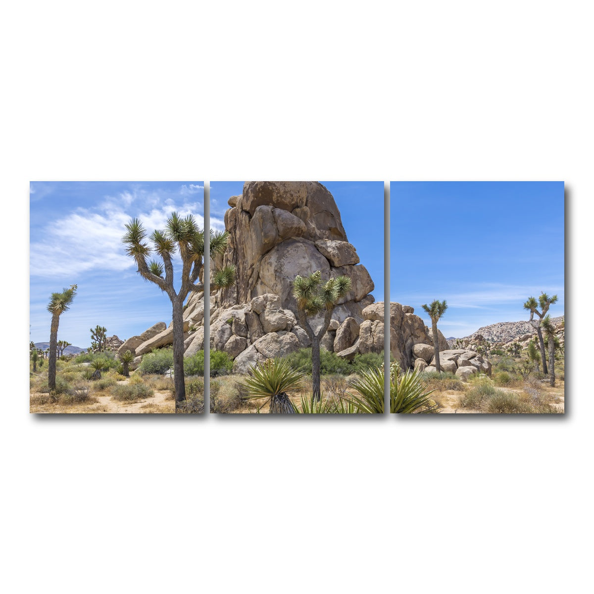 AUTO-MOCKUP WHITE | Roadside Rock Joshua Tree National Park | 3 Piece | Gallery Wrap Canvas | group=18x24