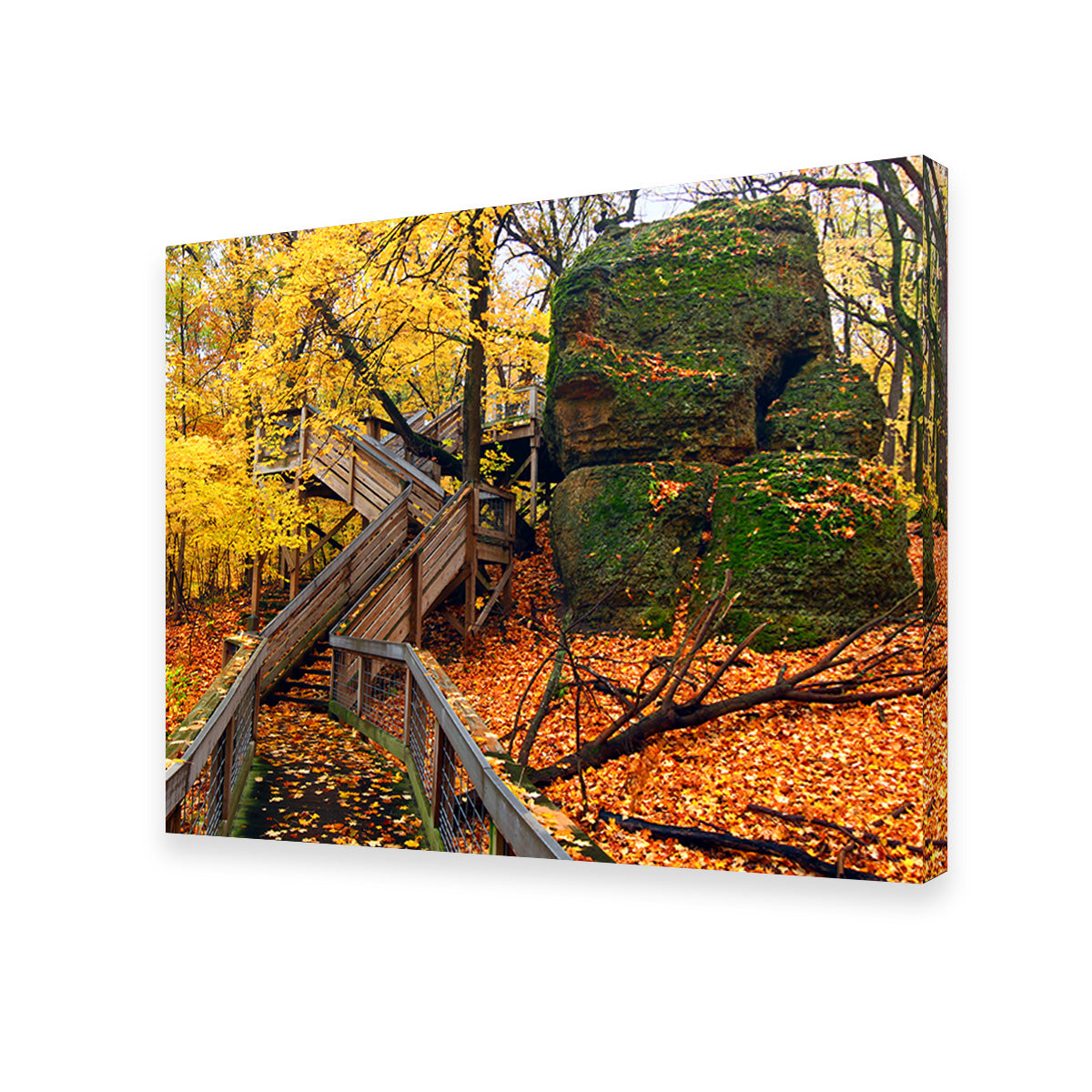 Rock Cut State Park Wall Art