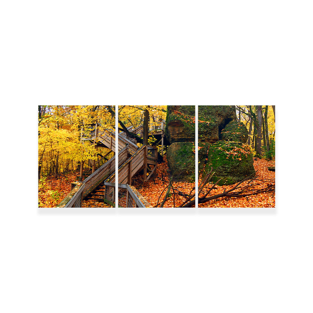Rock Cut State Park Wall Art