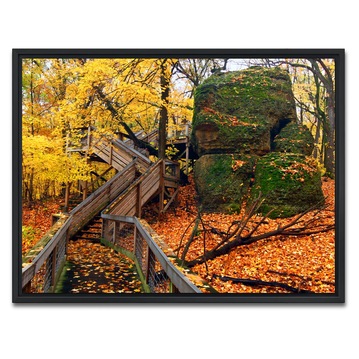 AUTO-MOCKUP WHITE | Rock Cut State Park | 1 Piece | Black Framed Canvas | group=4x3
