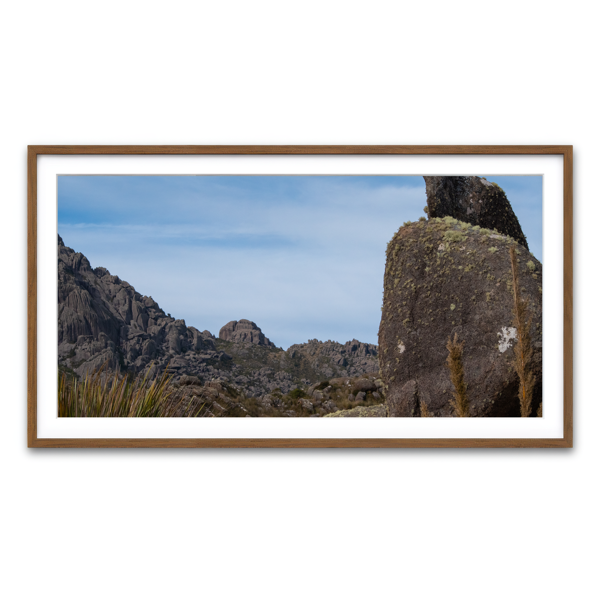 Framed Print 2x1 Walnut