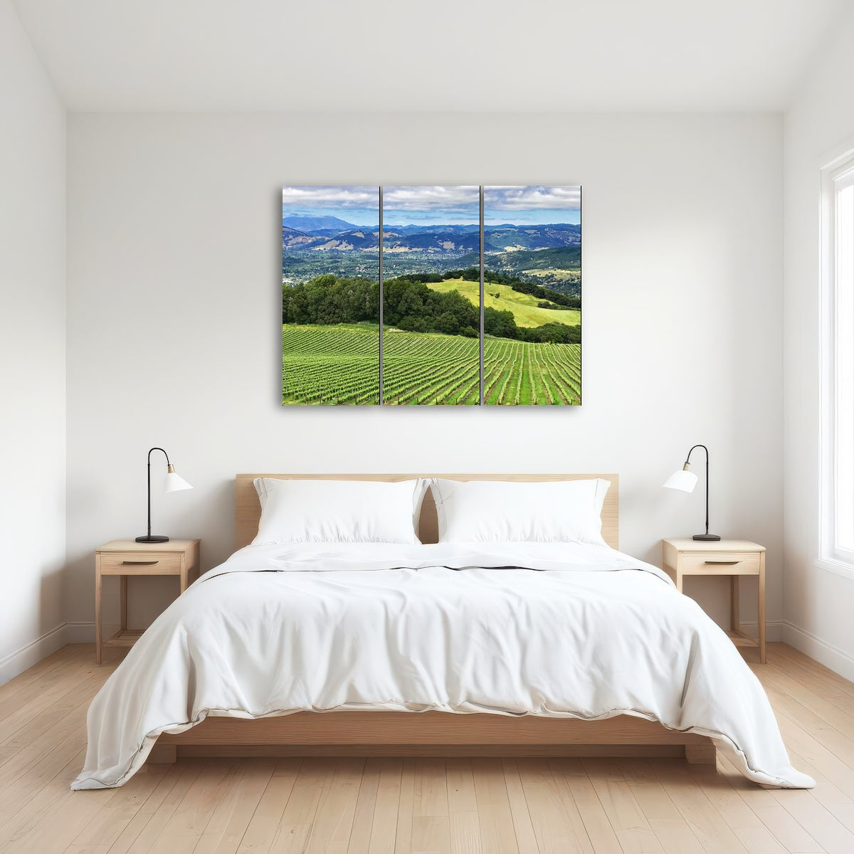 AUTO-MOCKUP ROOM | Rolling hills and vineyards of Sonoma County