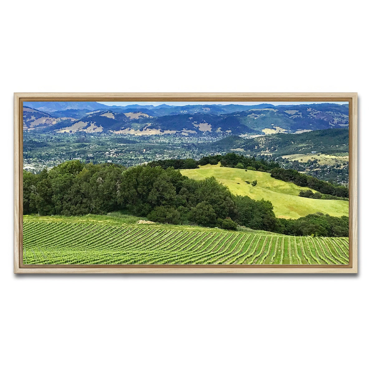 AUTO-MOCKUP WHITE | Rolling hills and vineyards of Sonoma County | 1 Piece | Natural Framed Canvas | group=2x1