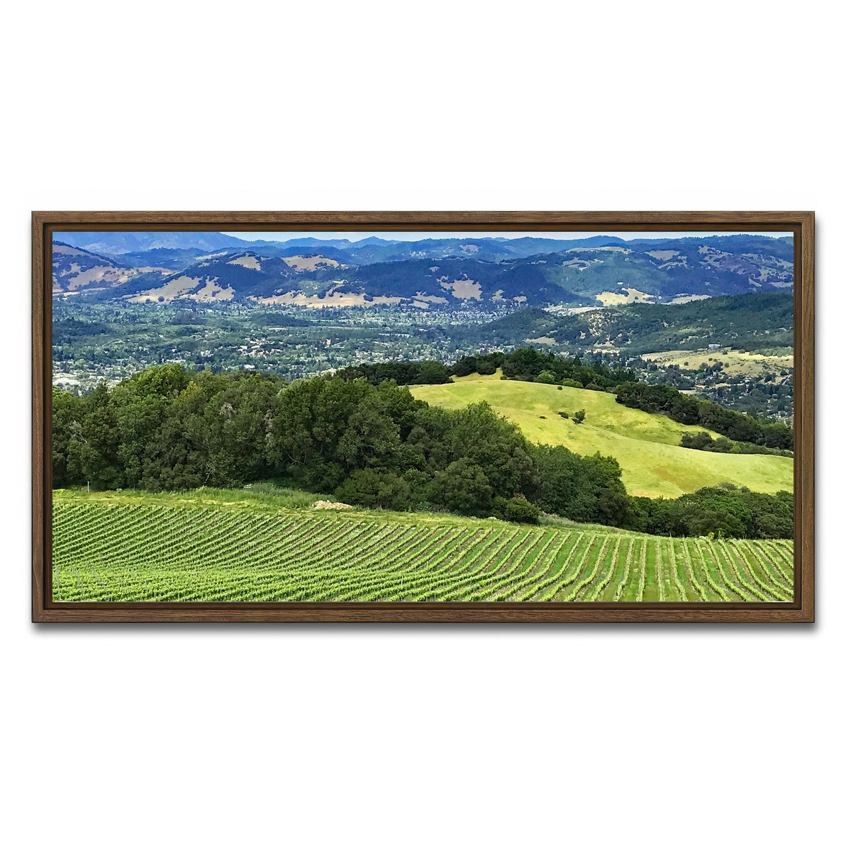 AUTO-MOCKUP WHITE | Rolling hills and vineyards of Sonoma County | 1 Piece | Walnut Framed Canvas | group=2x1