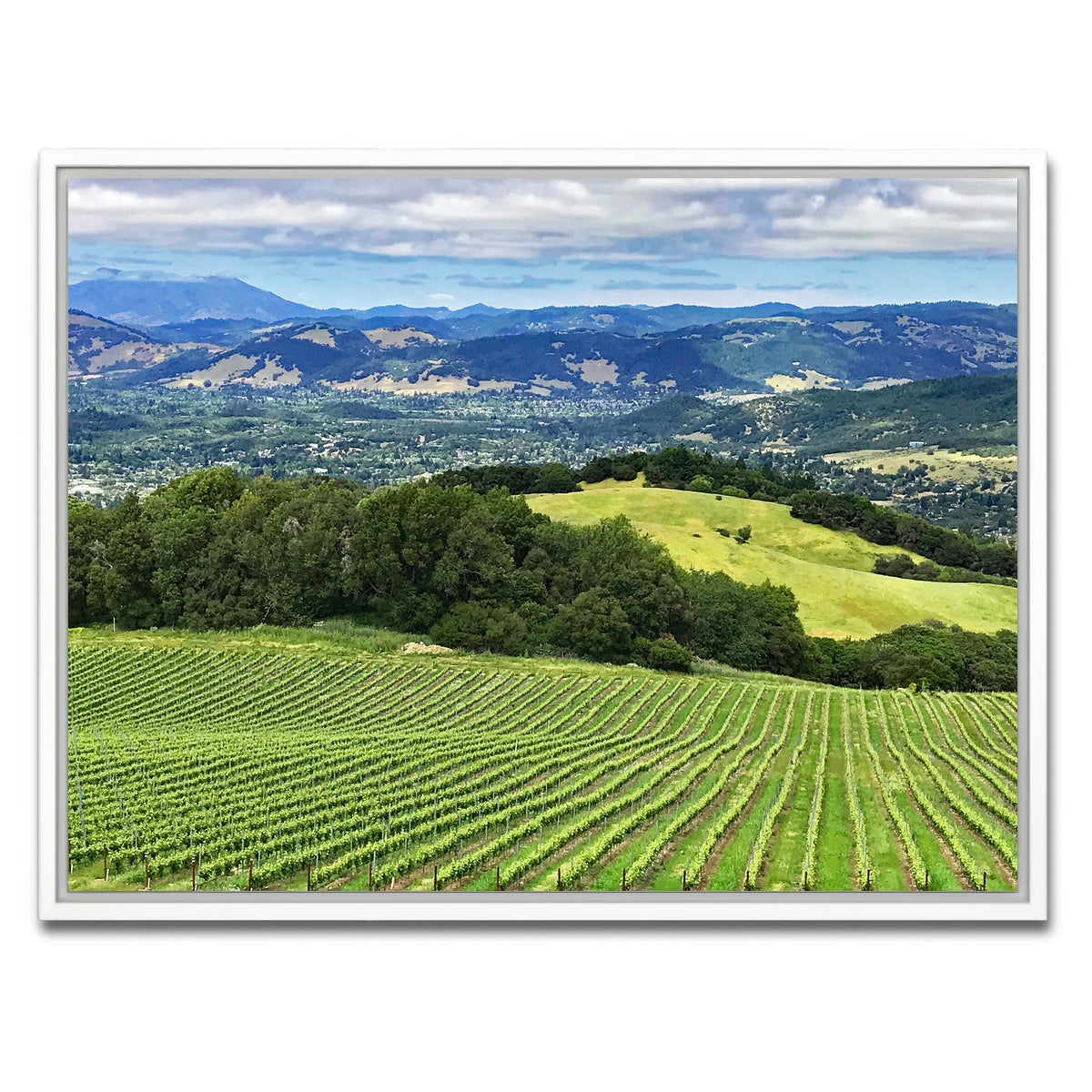 AUTO-MOCKUP WHITE | Rolling hills and vineyards of Sonoma County | 1 Piece | White Framed Canvas | group=4x3