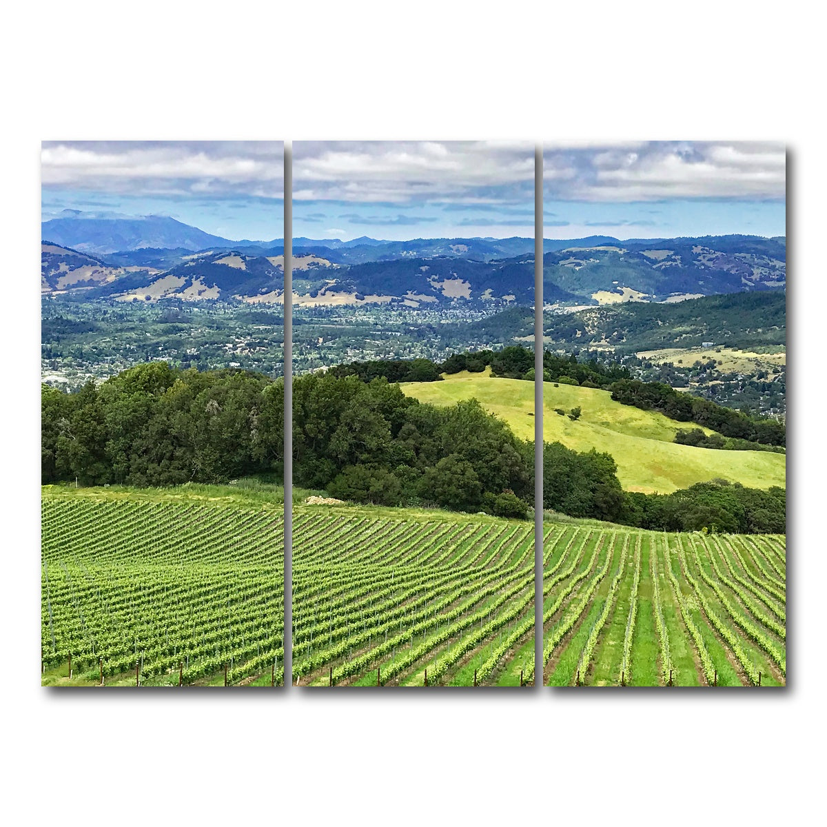 AUTO-MOCKUP WHITE | Rolling hills and vineyards of Sonoma County | 3 Piece | Gallery Wrap Canvas | group=8x18