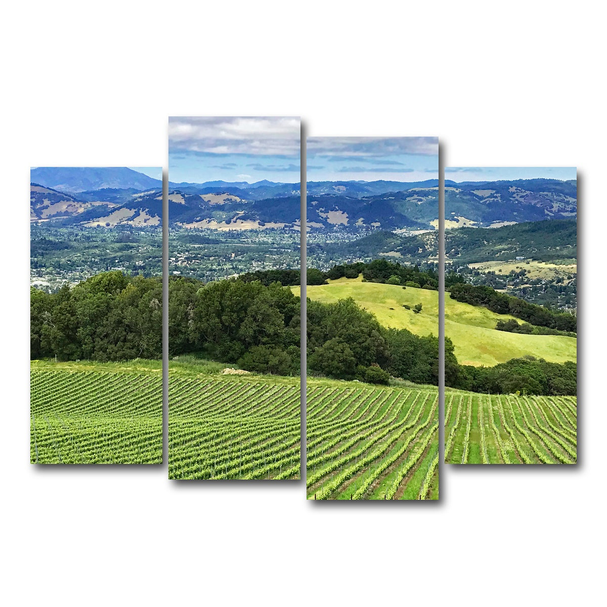 AUTO-MOCKUP WHITE | Rolling hills and vineyards of Sonoma County | 4 Piece | Gallery Wrap Canvas | group=4_normal