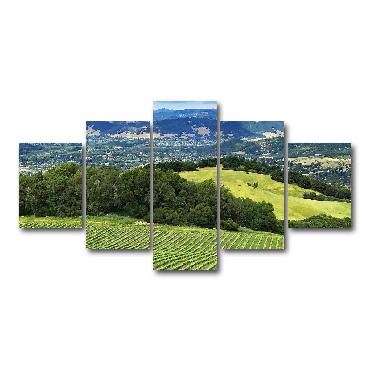 AUTO-MOCKUP WHITE | Rolling hills and vineyards of Sonoma County | 5 Piece | Gallery Wrap Canvas | group=5_short