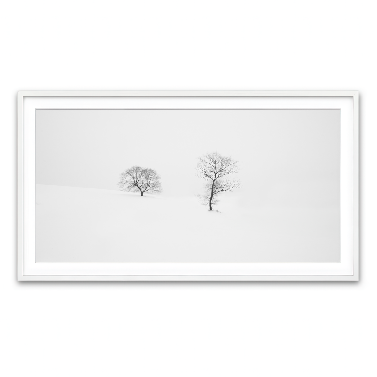 Framed Print 2x1 White