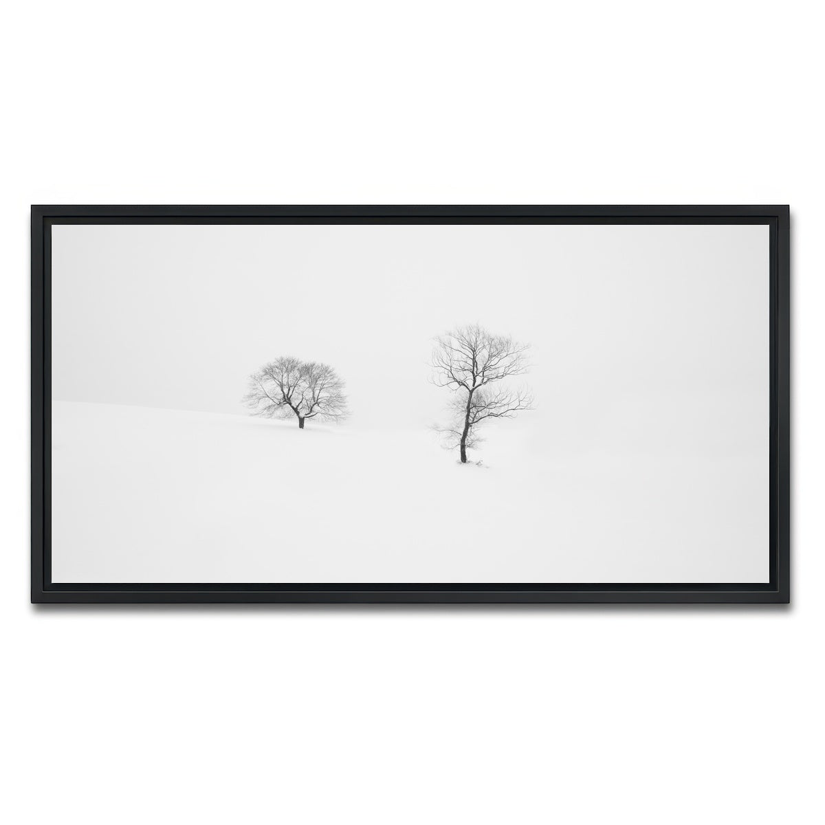 AUTO-MOCKUP WHITE | Rooted in Silence | 1 Piece | Black Framed Canvas | group=2x1