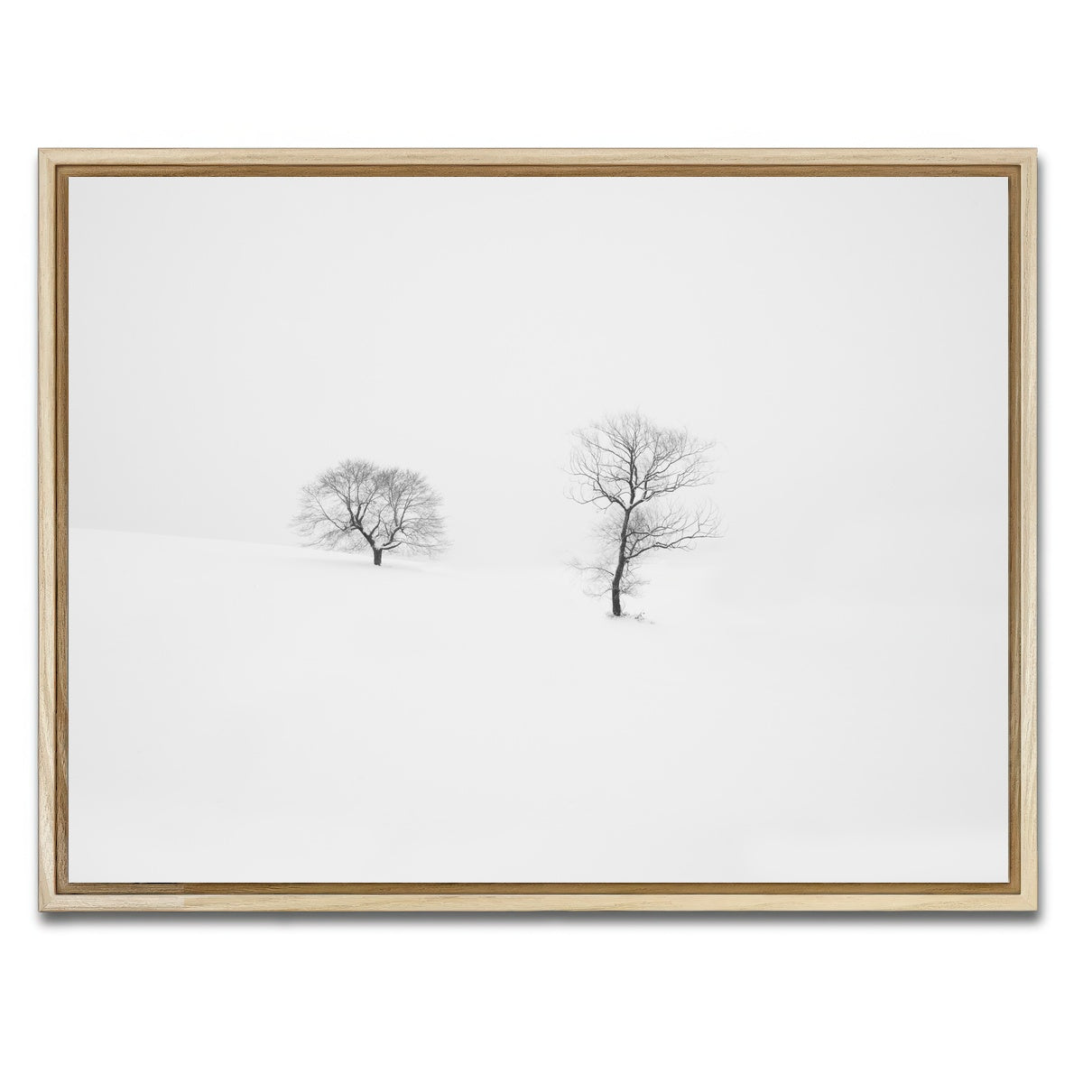AUTO-MOCKUP WHITE | Rooted in Silence | 1 Piece | Natural Framed Canvas | group=4x3