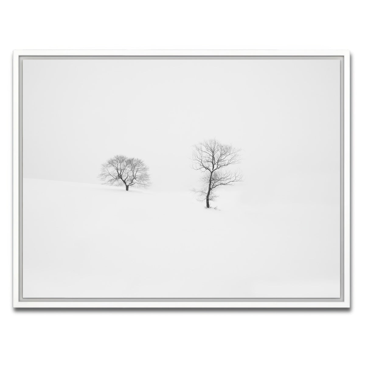 AUTO-MOCKUP WHITE | Rooted in Silence | 1 Piece | White Framed Canvas | group=4x3