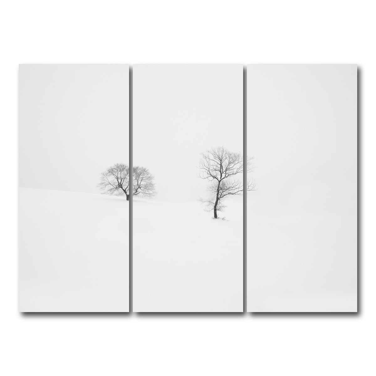 AUTO-MOCKUP WHITE | Rooted in Silence | 3 Piece | Gallery Wrap Canvas | group=8x18