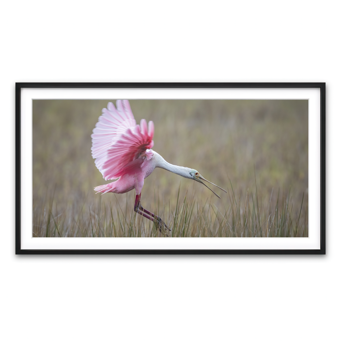 Framed Print 2x1 Black