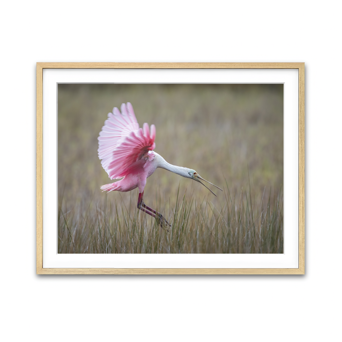Framed Print 4x3 Natural