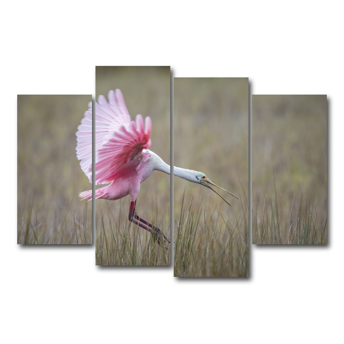 AUTO-MOCKUP WHITE | Roseate Spoonbill - Merritt Island Wildlife Refuge | 4 Piece | Gallery Wrap Canvas | group=4_short