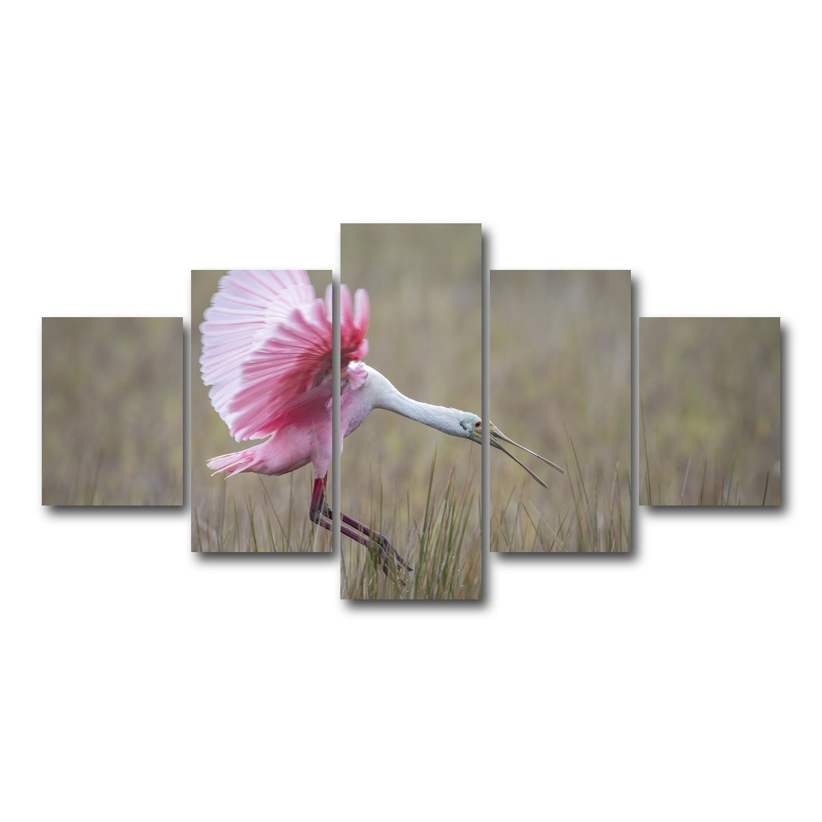 AUTO-MOCKUP WHITE | Roseate Spoonbill - Merritt Island Wildlife Refuge | 5 Piece | Gallery Wrap Canvas | group=5_short