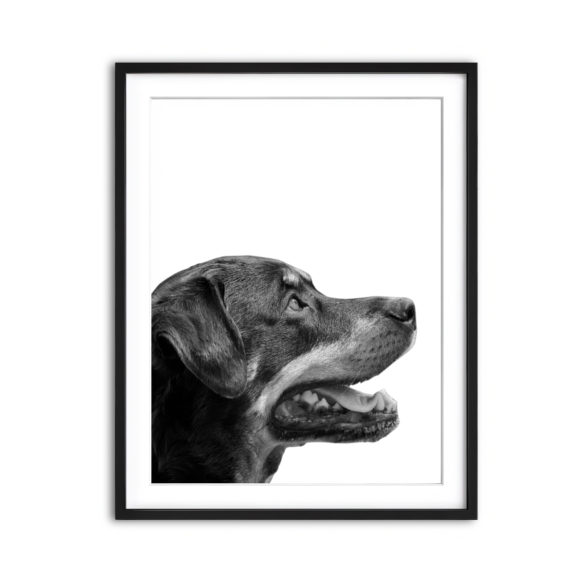 Framed Print 3x4 Black