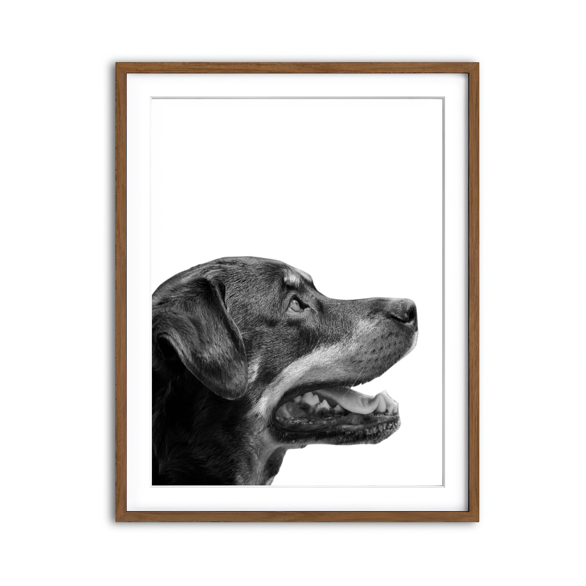 Framed Print 3x4 Walnut