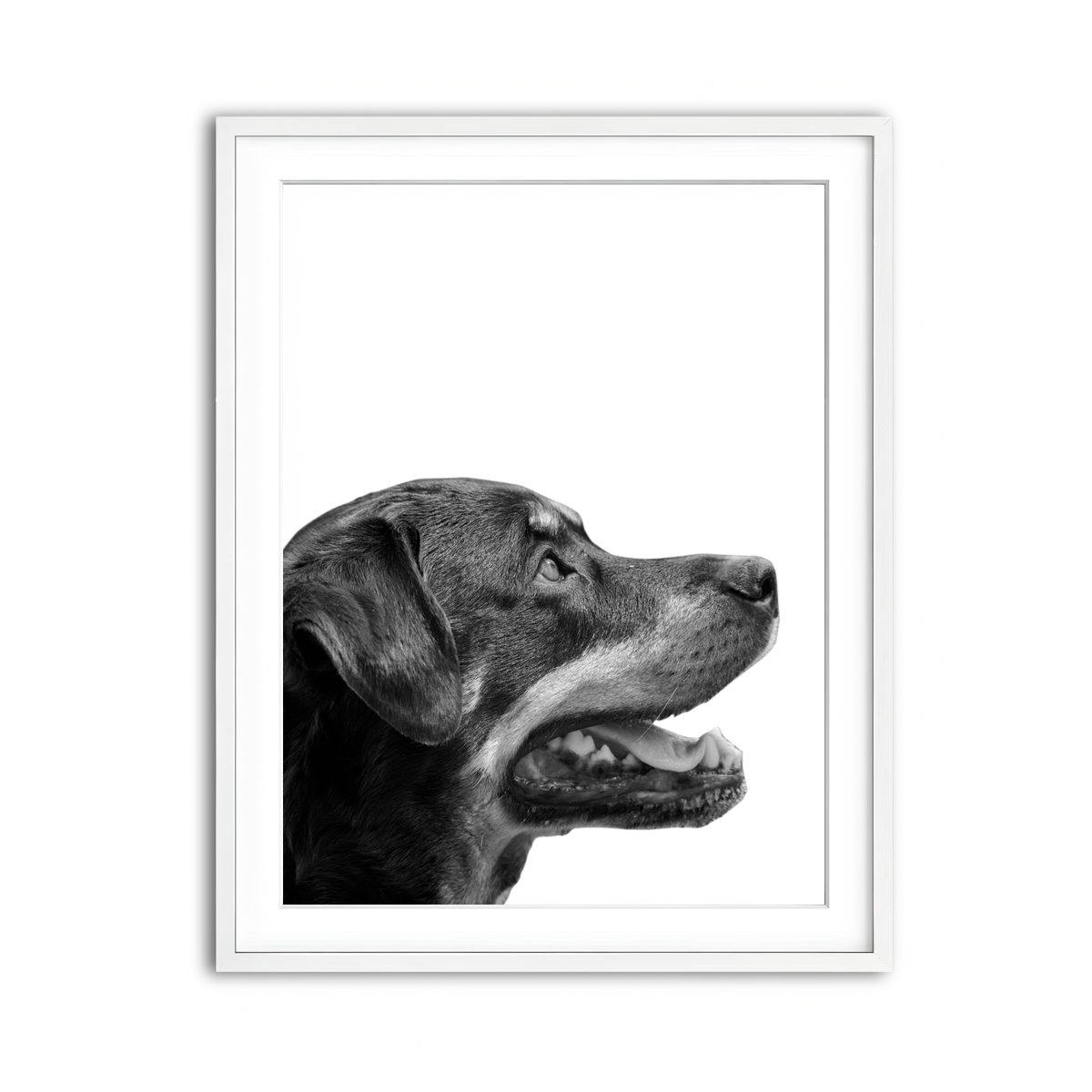Framed Print 3x4 White