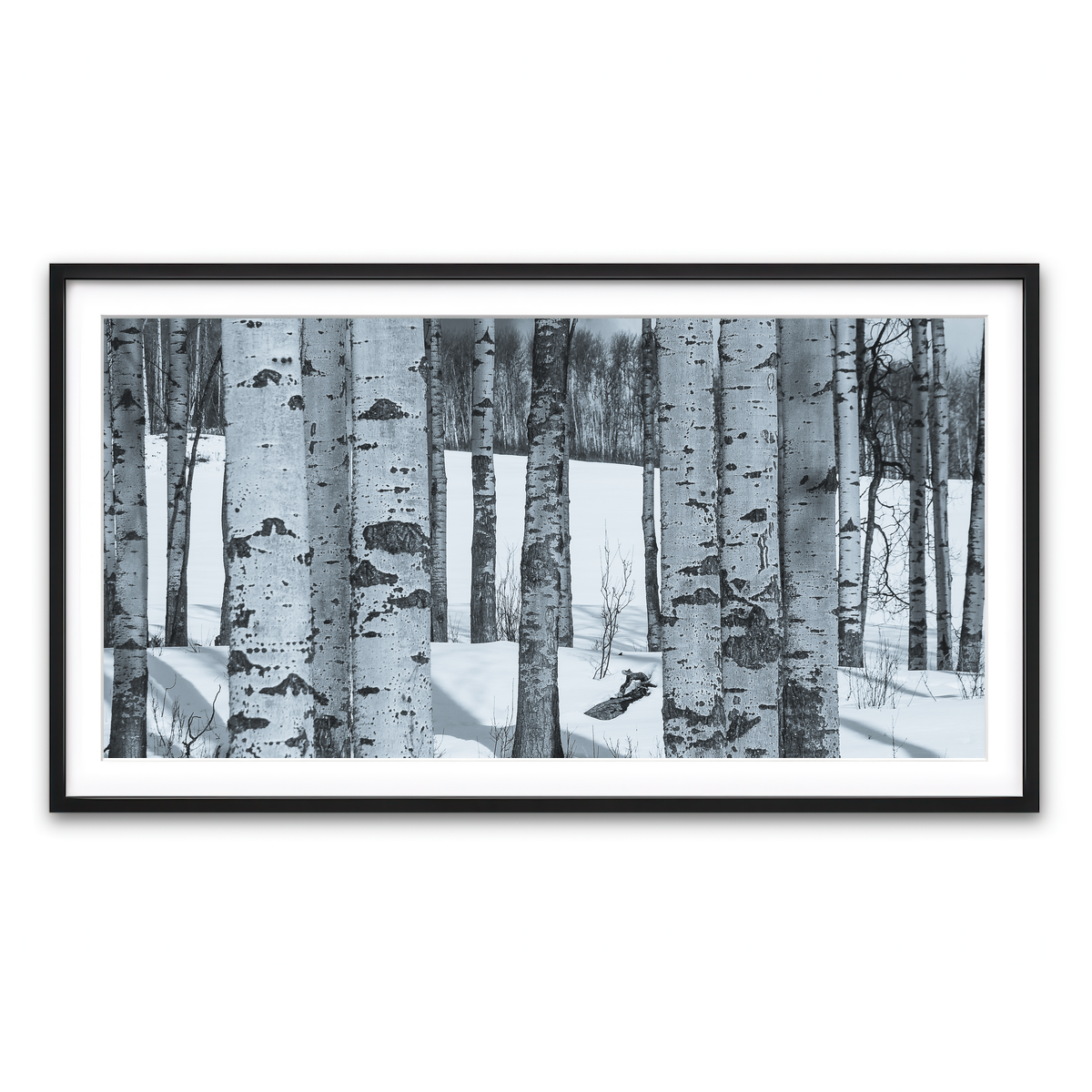 Framed Print 2x1 Black