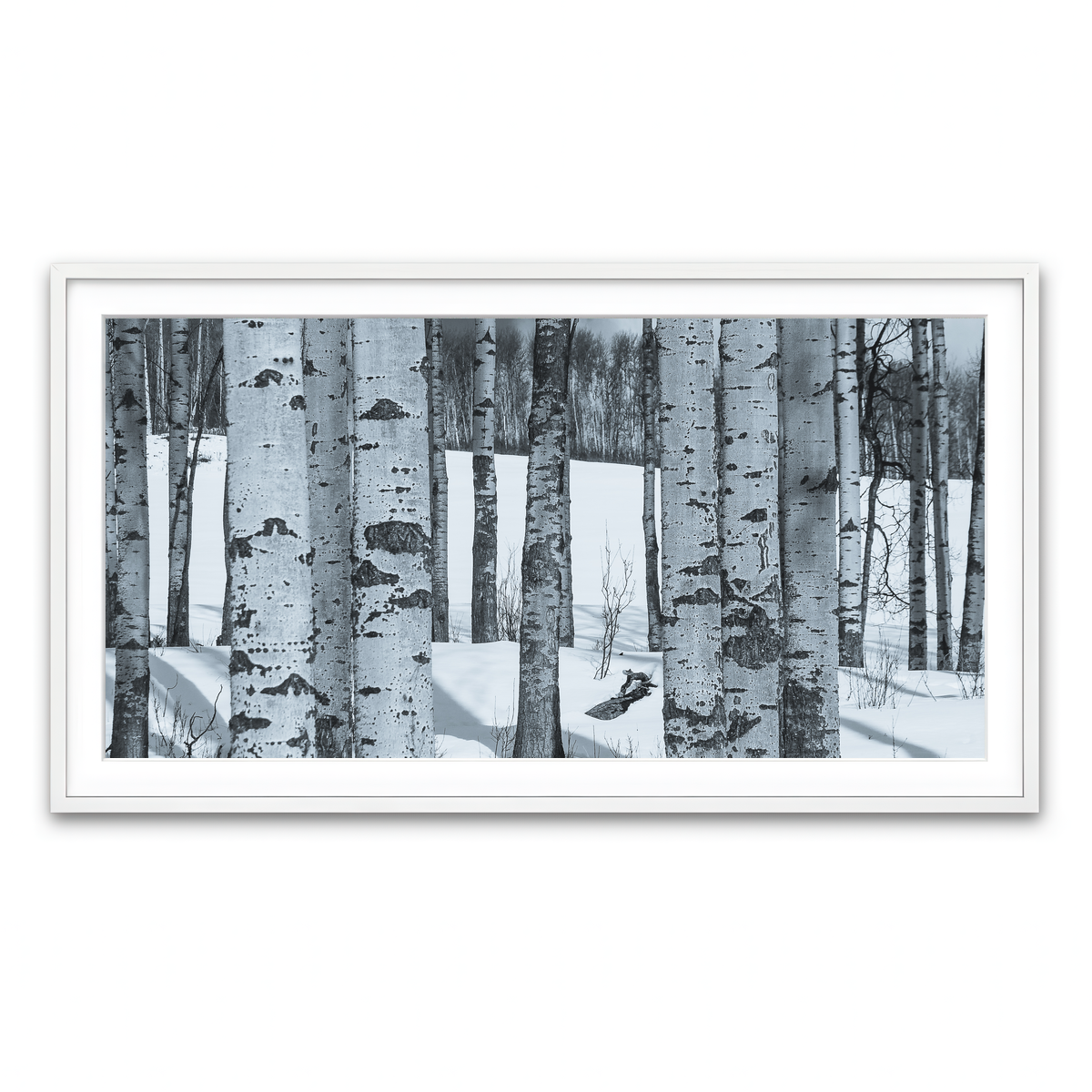Framed Print 2x1 White