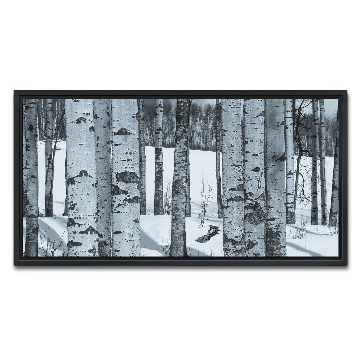 AUTO-MOCKUP WHITE | Round Lake | 1 Piece | Black Framed Canvas | group=2x1