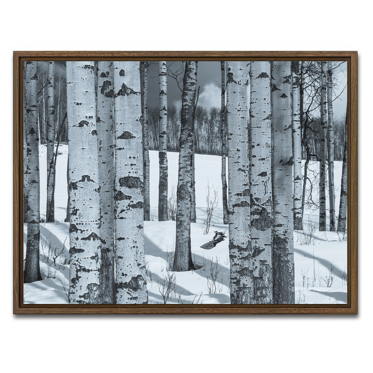 AUTO-MOCKUP WHITE | Round Lake | 1 Piece | Walnut Framed Canvas | group=4x3